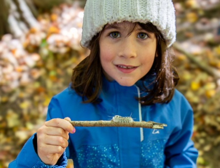 a student at the Nature School at Claremont Nature Centre studies a caterpillar