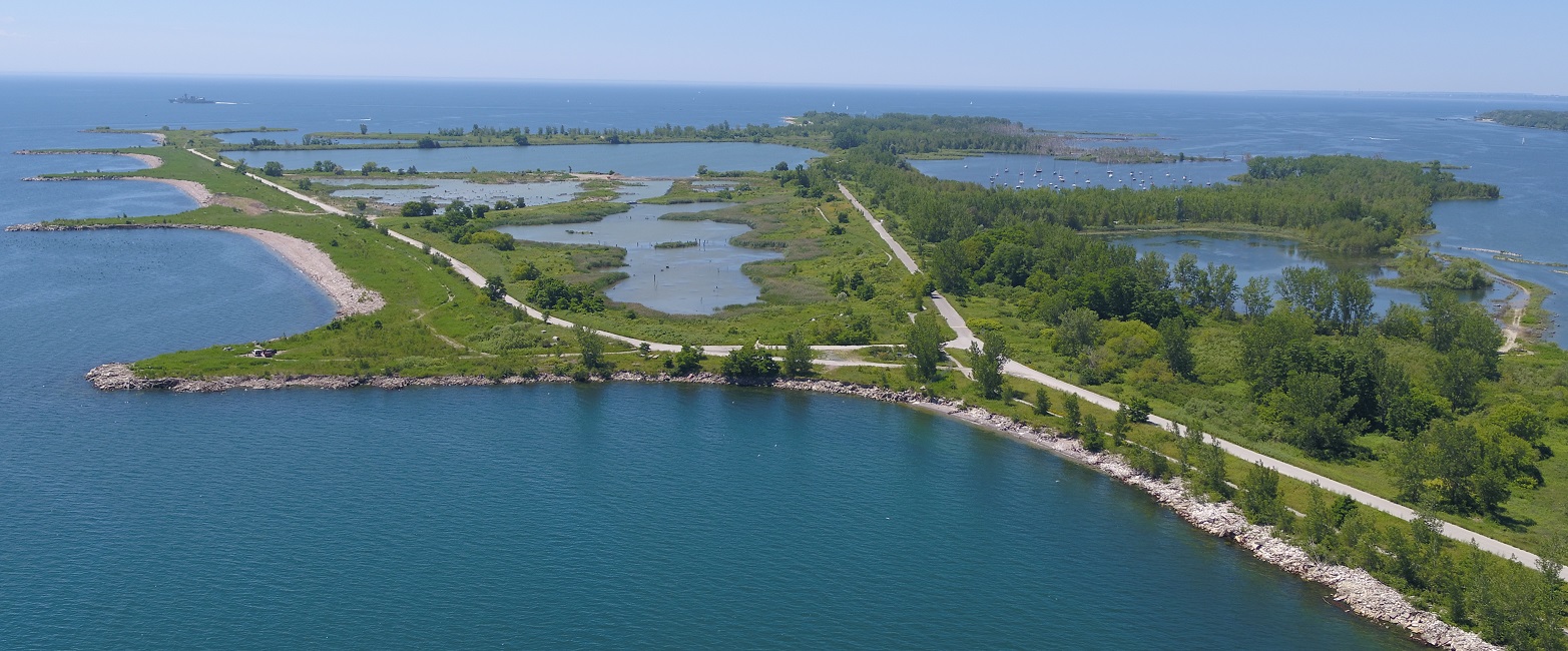 an aerial view of Tommy Thompson Park