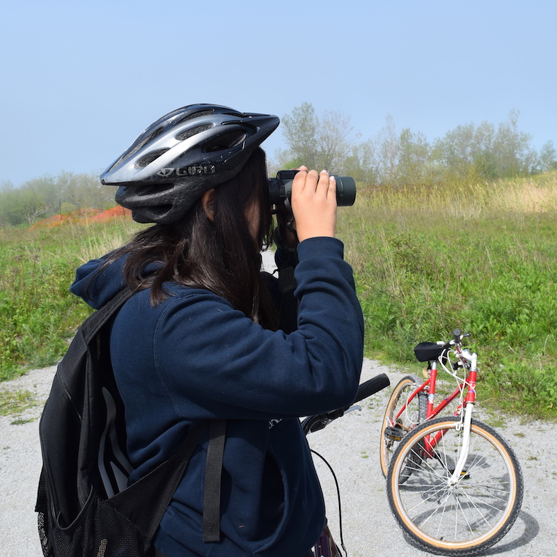 a cyclist on a trail at Tommy Thompson Park uses binoculars to search for birds