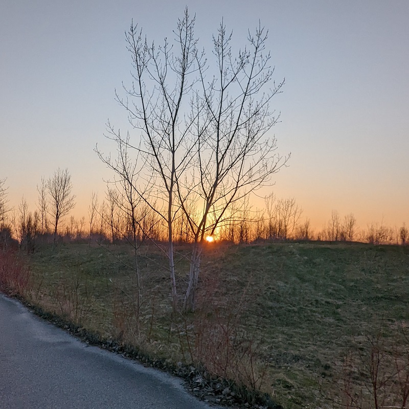 a trail at Tommy Thompson Park at sunset on a winter day