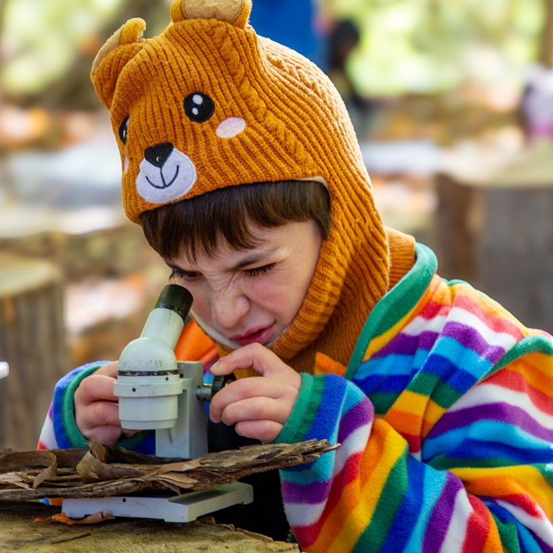 a student at the Nature School at the Claremont Nature Centre in Pickering uses a microscope to study tree bark