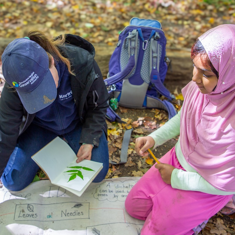 a teacher at The Nature School at Kortright Centre in Vaughan guides a student through a lesson in identifying the parts of a tree