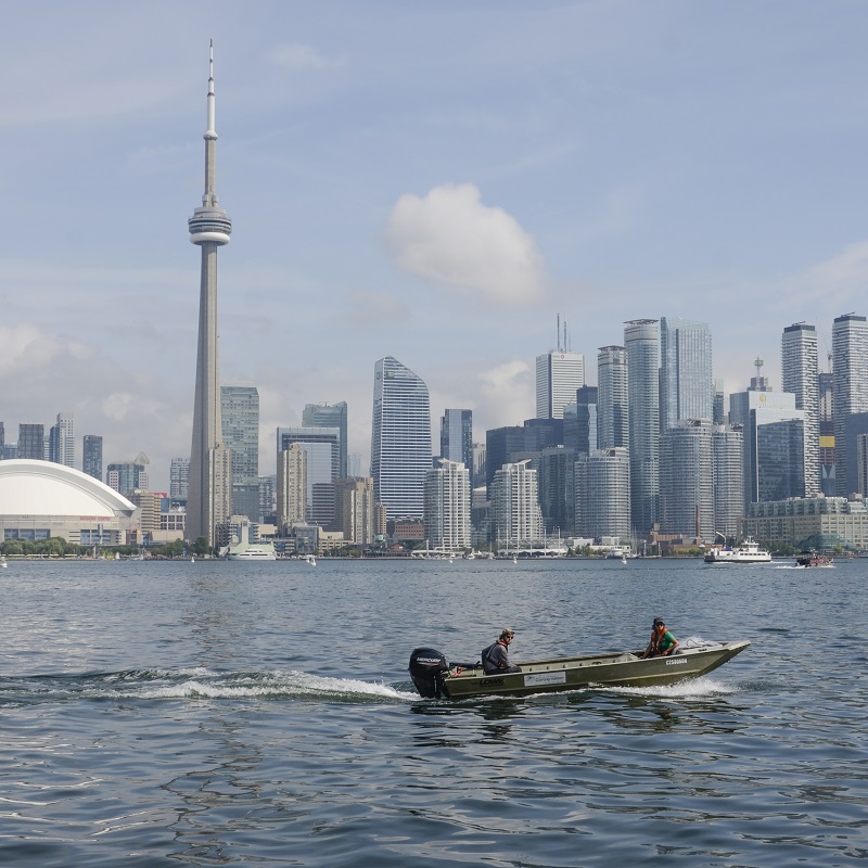 TRCA ecosystem science team members conduct fish habitat monitoring by boat on the Lake Ontario Waterfront