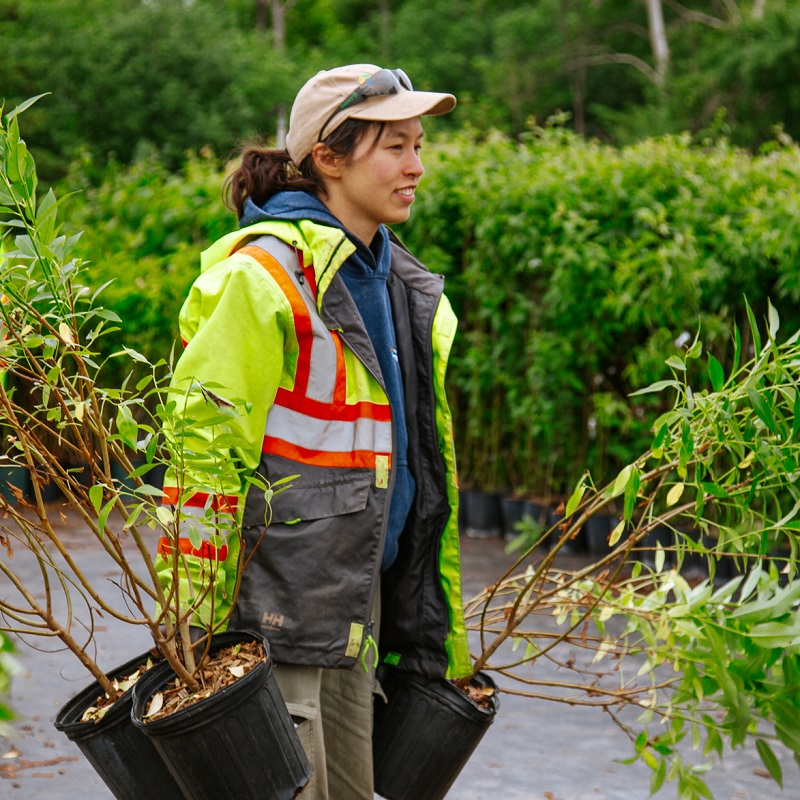 a team member at work at the TRCA nursery
