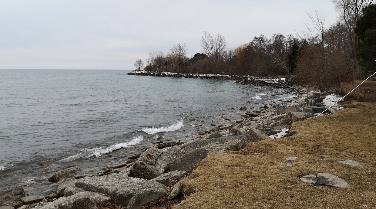 Backshore erosion along the beach
