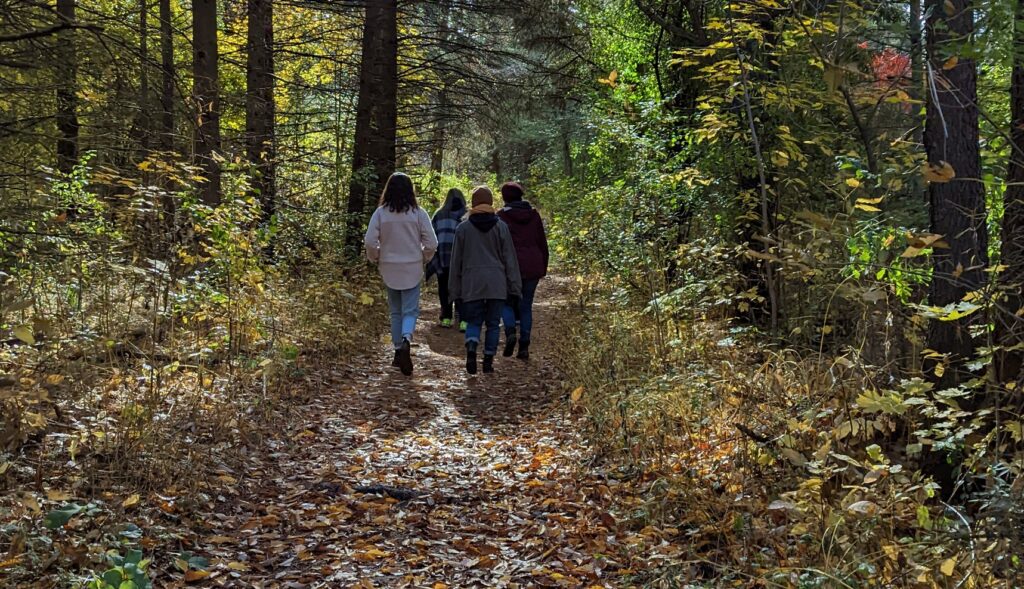 a group of friends explore a forest trail on an autumn afternoon at Kortright Centre for Conservation in Vaughan