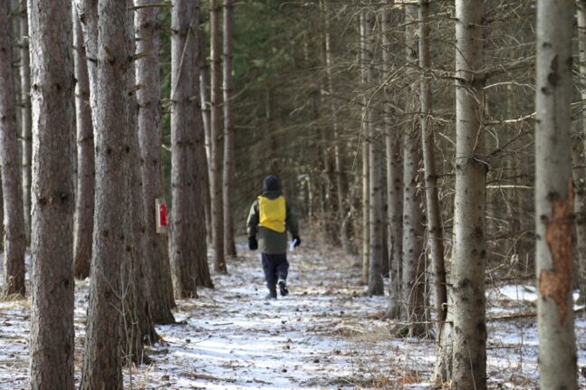 a student explores a forest trail during a TRCA March Break Camp at Albion Hills Conservation Park in Caledon