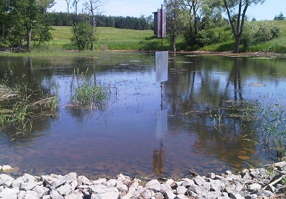 a wetland area in the Nashville Conservation Reserve