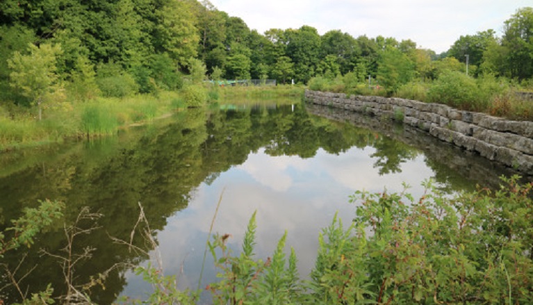 a municipal stormwater pond