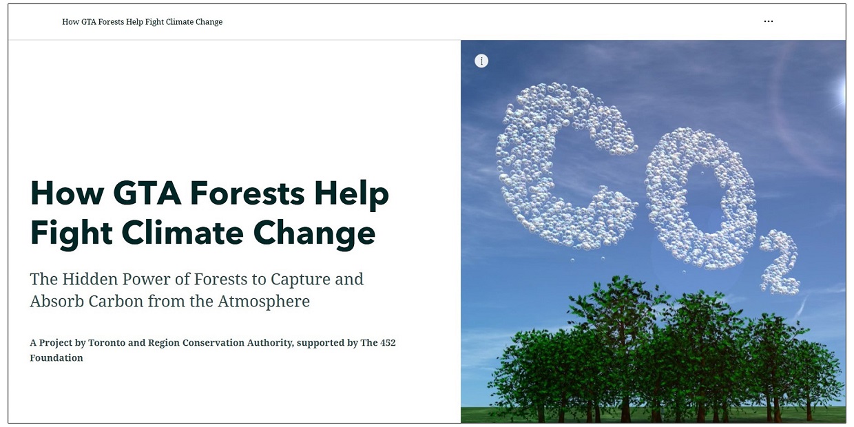 a screen shot of the GTA Forest Carbon Quantification and Valuation storymap