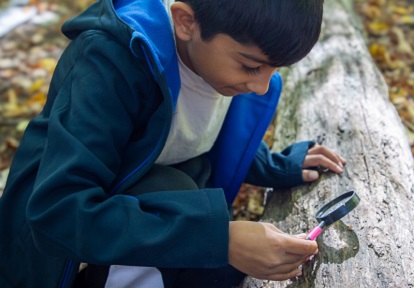 a student at the Nature School at Kortright Centre uses a magnifying glass to study tree bark