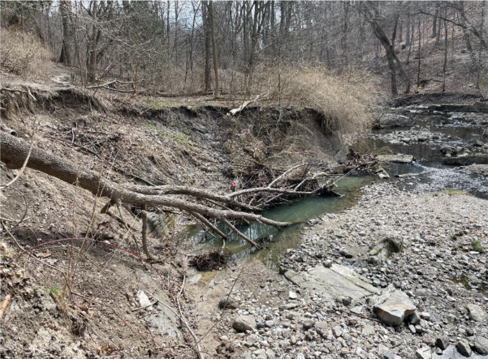 Erosion of pedestrian path in the Vale of Avoca