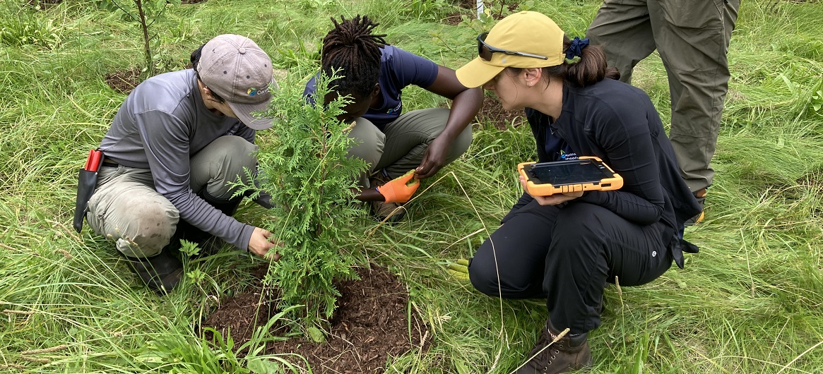 a TRCA community stewardship team member provides instruction and guidance to volunteers at a tree planting even