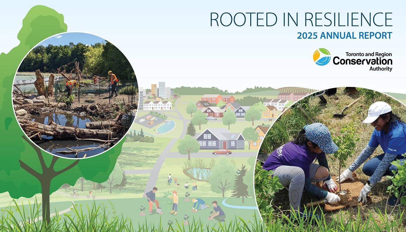Rooted in Resilience - TRCA 2025 annual report