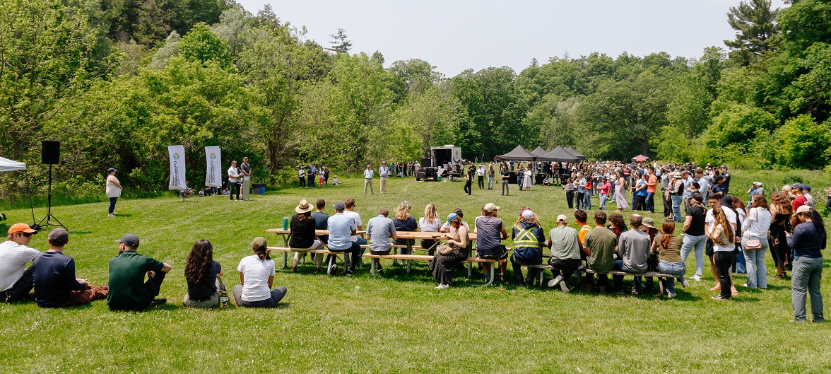 TRCA team members gather for the annual staff BBQ at Boyd Conservation Park