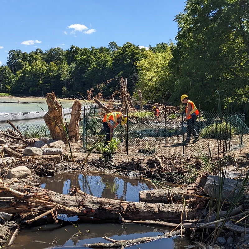 TRCA team members at work on the Donnelly Ponds restoration project