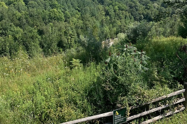 a look-off area in Rouge National Urban Park