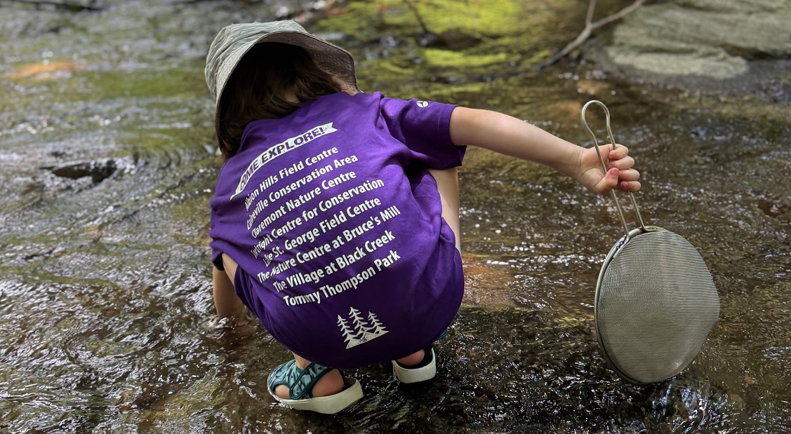 a summer camper explores a shallow stream at Claremont Nature Centre in Pickering