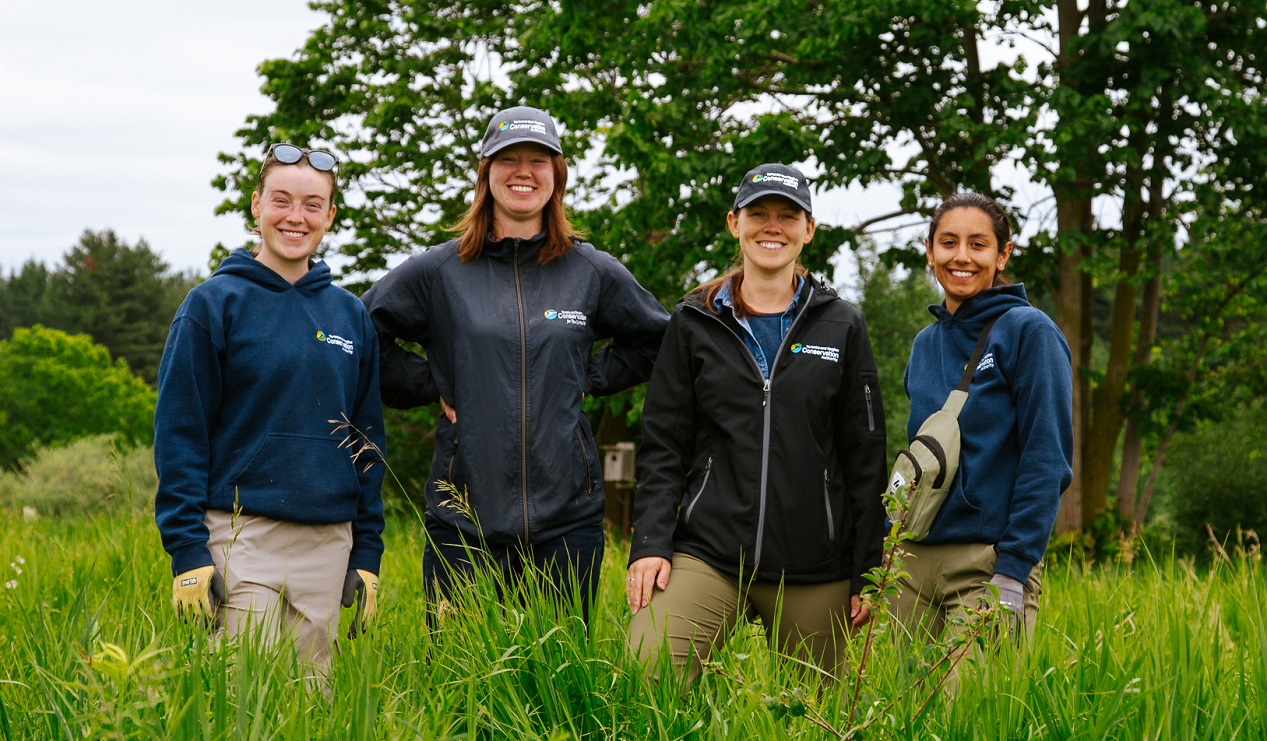 TRCA seasonal meadow restoration team members at work in the field