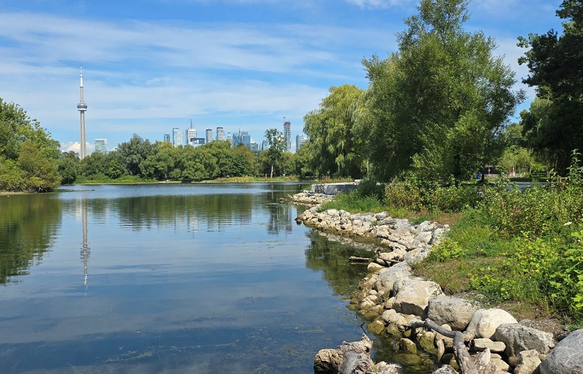 a view of the completed shoreline restoration work on Lagoon Road