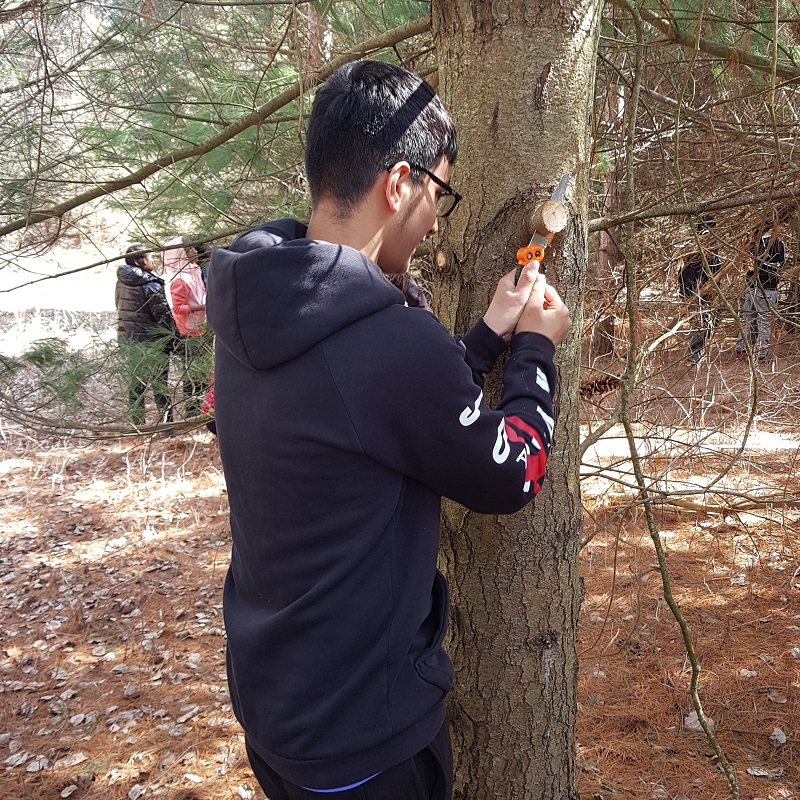 a student taking part in a community group program explores the forest at Claireville Conservation Area in Brampton