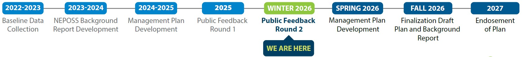 a diagram depicting the NEPOSS planning process