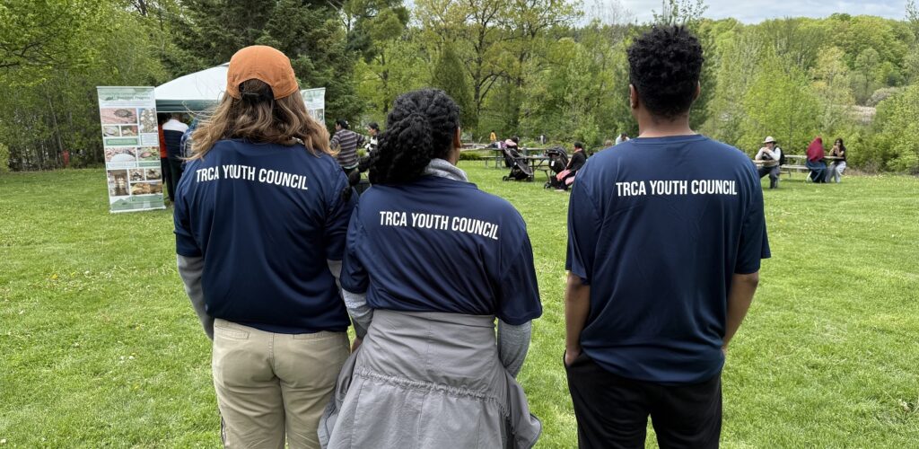 TRCA Youth Council members take part in the annual Turtlefest event at Heart Lake Conservation