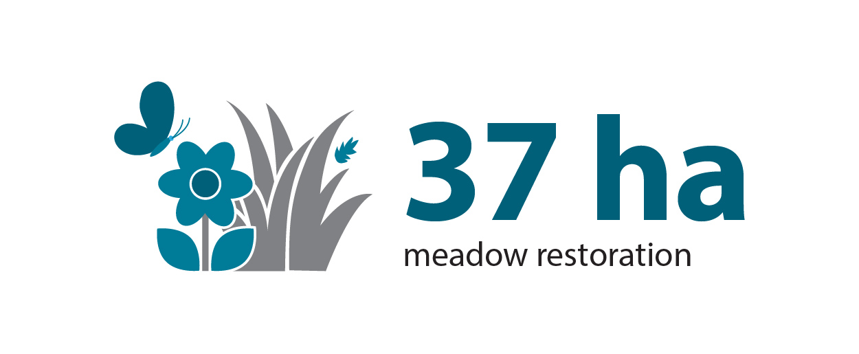 37 hectares of meadow restoration in 2025