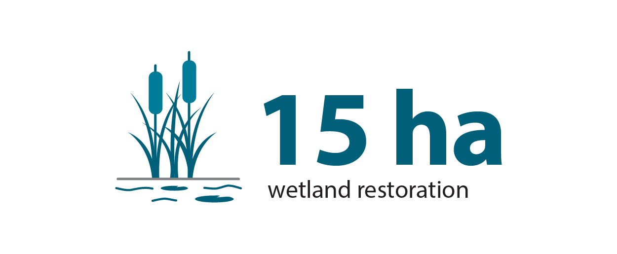 15 hectares of wetland restoration in 2025