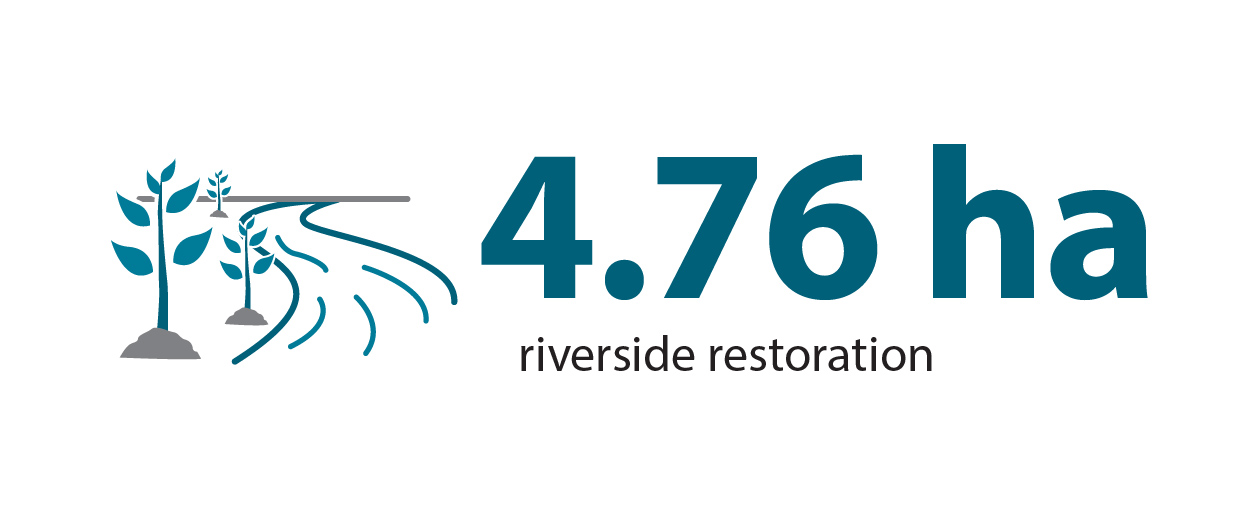 nearly 5 hectares of riverside restoration