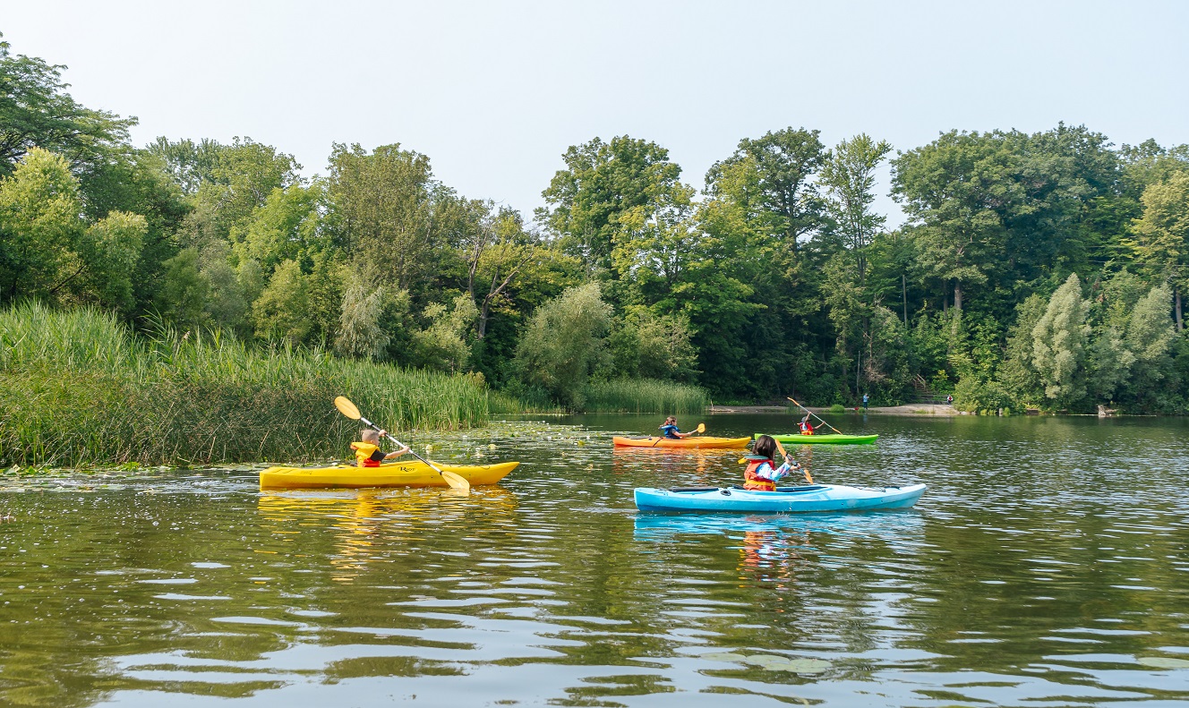 paddlers at Heart Lake Conservation Park