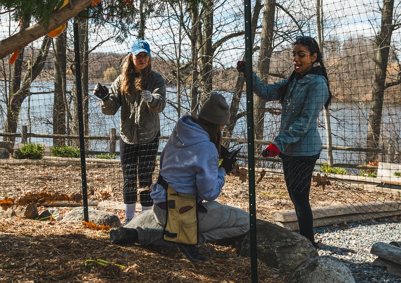 a corporate team takes part in a TRCA Look After Where You Live planting activity at the Medicine Wheel Garden in Heart Lake Conservation Park