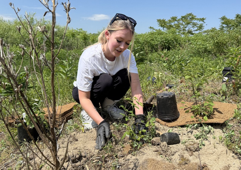 a corporate team member takes part in a TRCA Look After Where You Live planting activity