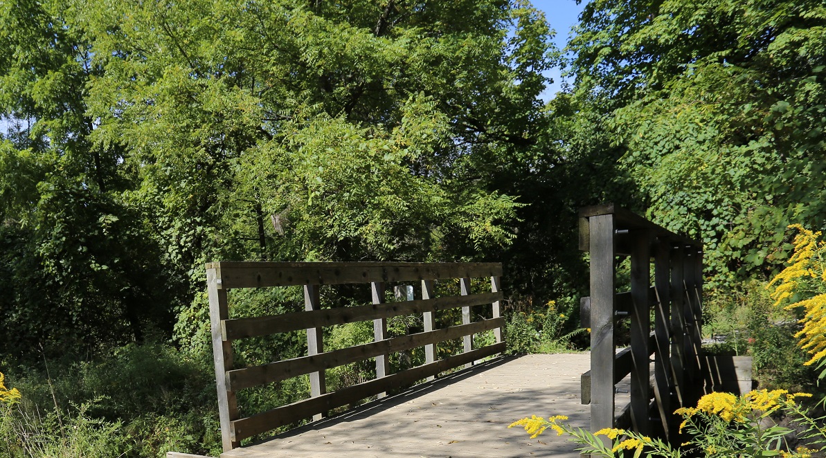 a bridge and trail at Claireville Conservation Area