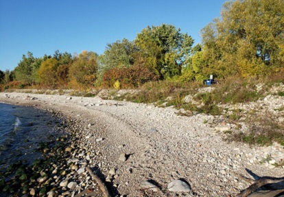cobble shoreline at Port Union Waterfront Park