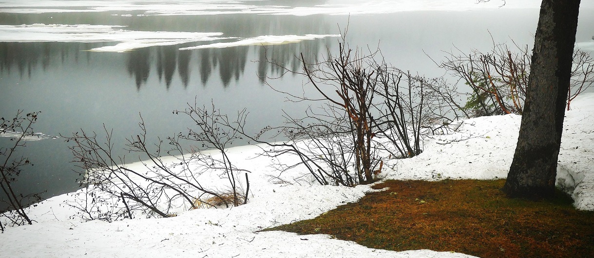 snow and ice melting on a spring day