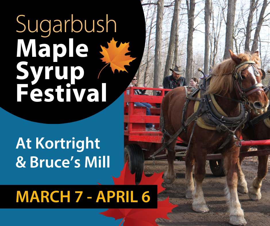 the Sugarbush Maple Syrup Festival at Kortright and Bruces Mill takes place from March 7 to April 6