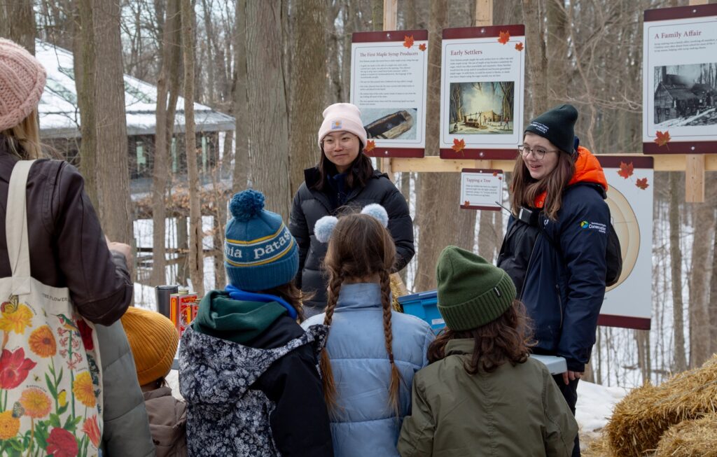 visitors to the Sugarbush Maple Syrup Festival at Kortright Centre enjoy family friendly activities and demonstrations