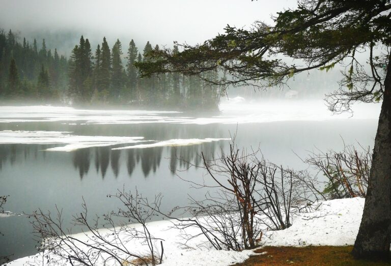 snow and ice melting on a spring day