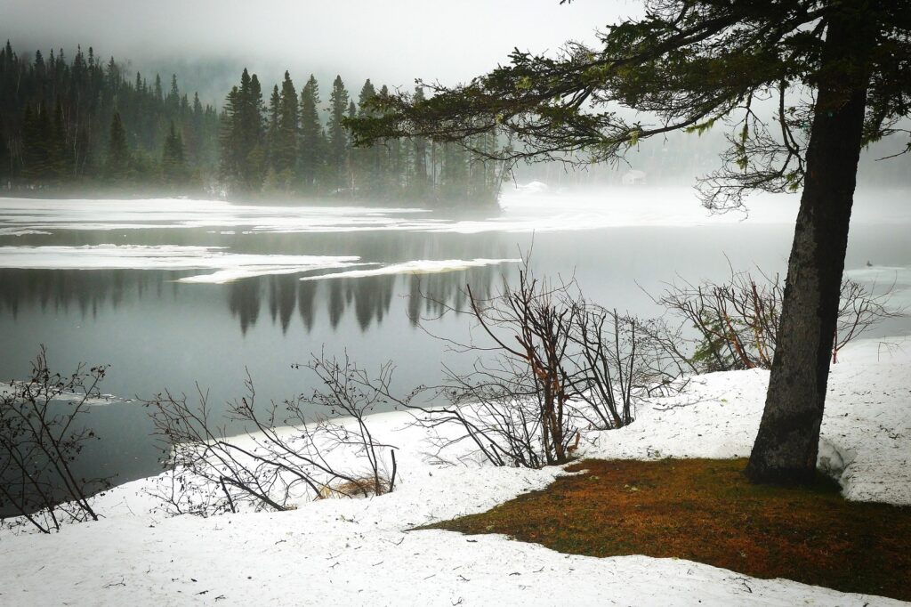 snow and ice melting on a spring day