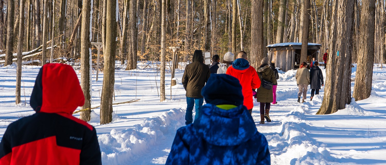 visitors to the Sugarbush Maple Syrup Festival at Bruces Mill Conservation Park make their way along a snow covered trail