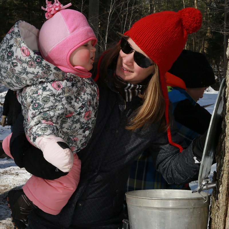 visitors to the Sugarbush Maple Syrup Festival at Bruces Mill Conservation Park learn about the traditional method of tapping trees to collect sap