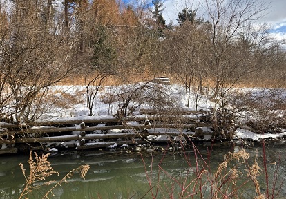 German Mills Creek Restoration - a view of the crib retaining wall located in the project area that is currently failing and will be removed