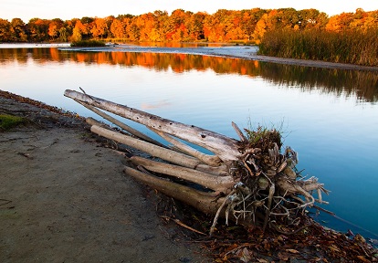 a pond at the south end of the Rouge River