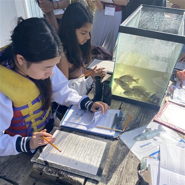 students on a high school science lab field trip to Lake St George Field Centre conduct a study of local fish and their habitats