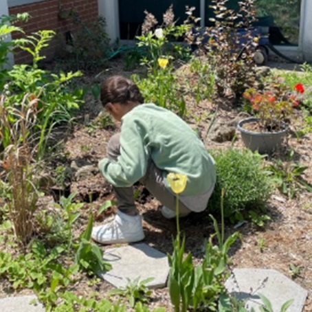 student tends to a new garden on school grounds