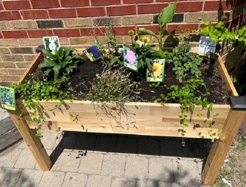 Peel EcoSchools - Toronto and Region Conservation Authority (TRCA)
