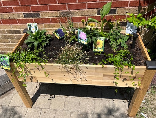 a newly installed school garden
