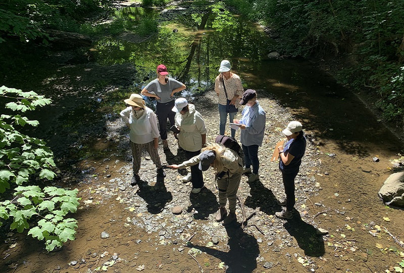 teachers take part in an EcoSchools workshop