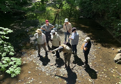 teachers take part in an EcoSchools workshop